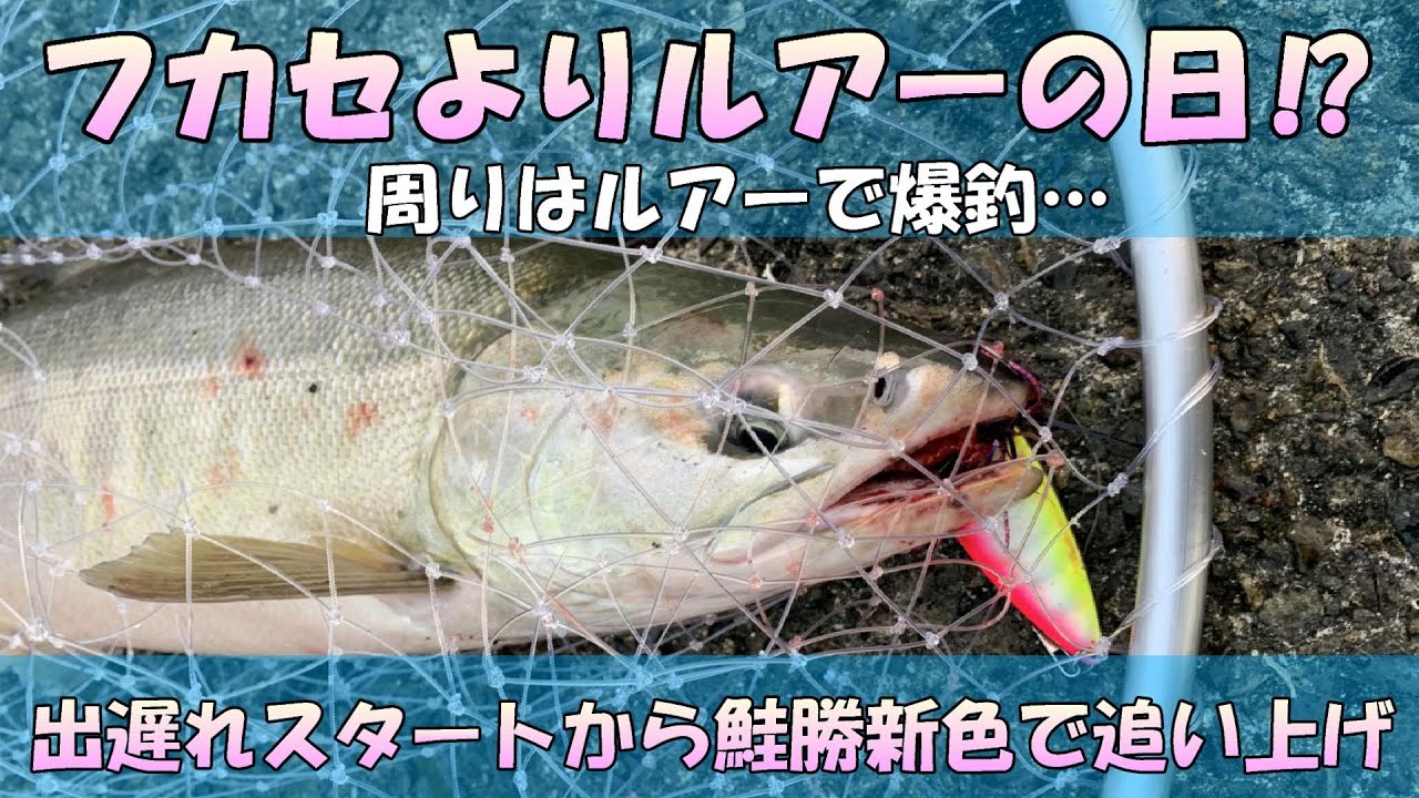 【鮭釣り】話題の鮭勝新色使ってみた