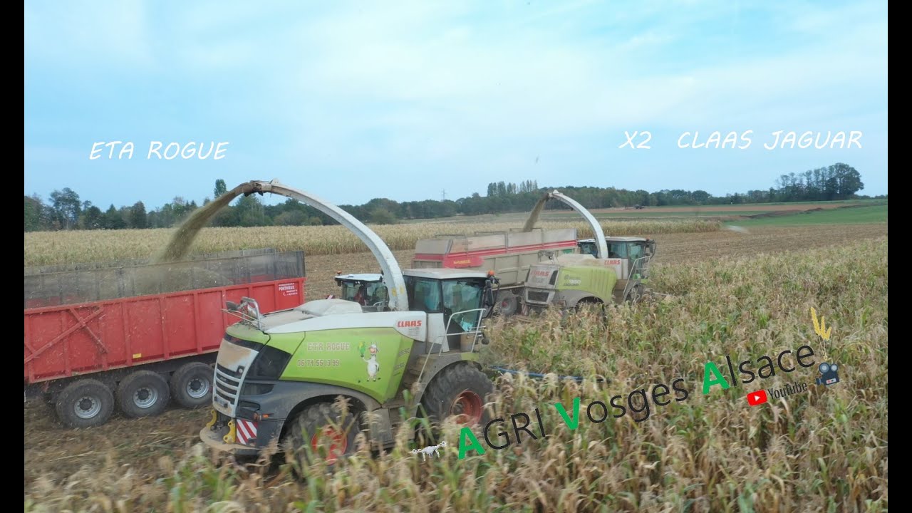 🌽X2 CLAAS JAGUAR en 10 rangs💪: ETA ROGUE