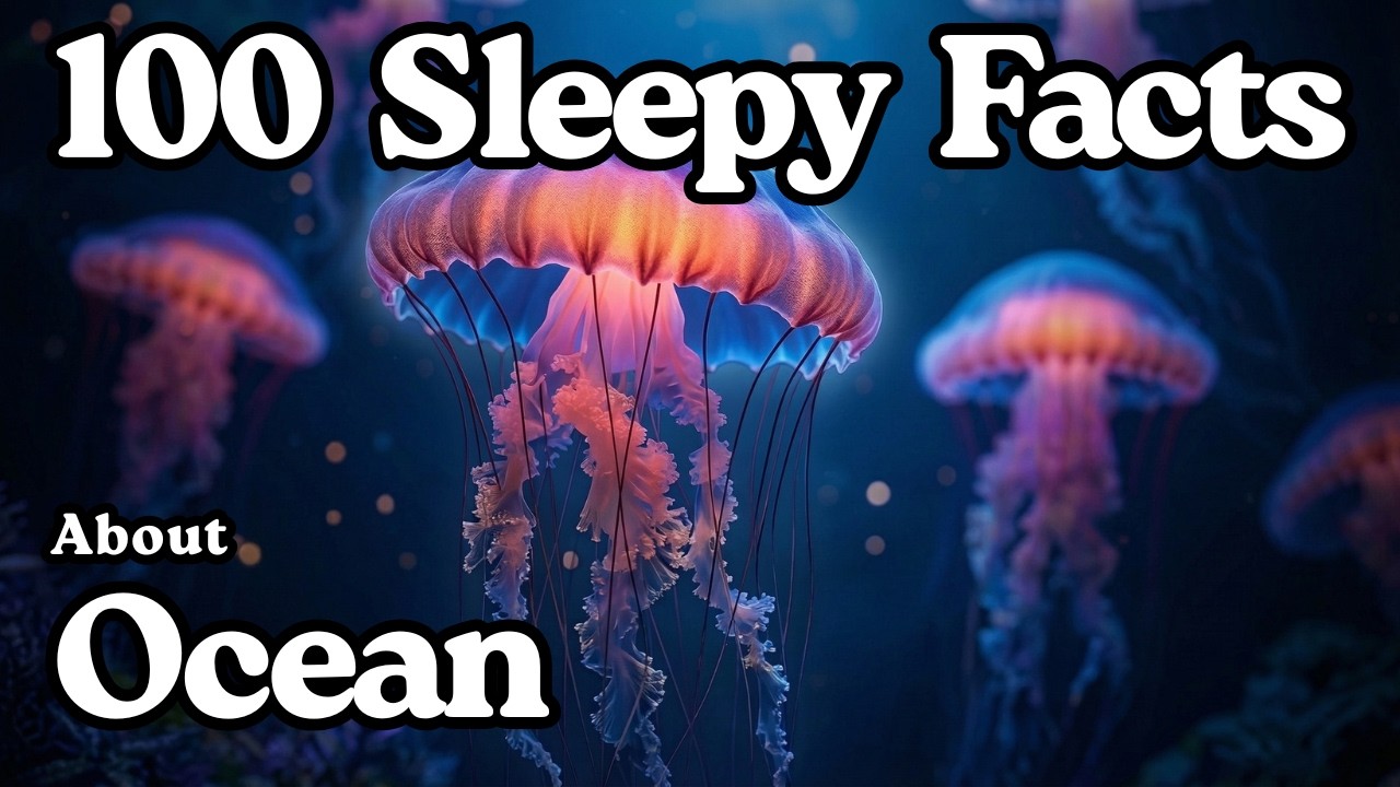 The Most Relaxing Facts About Ocean To Fall Asleep To