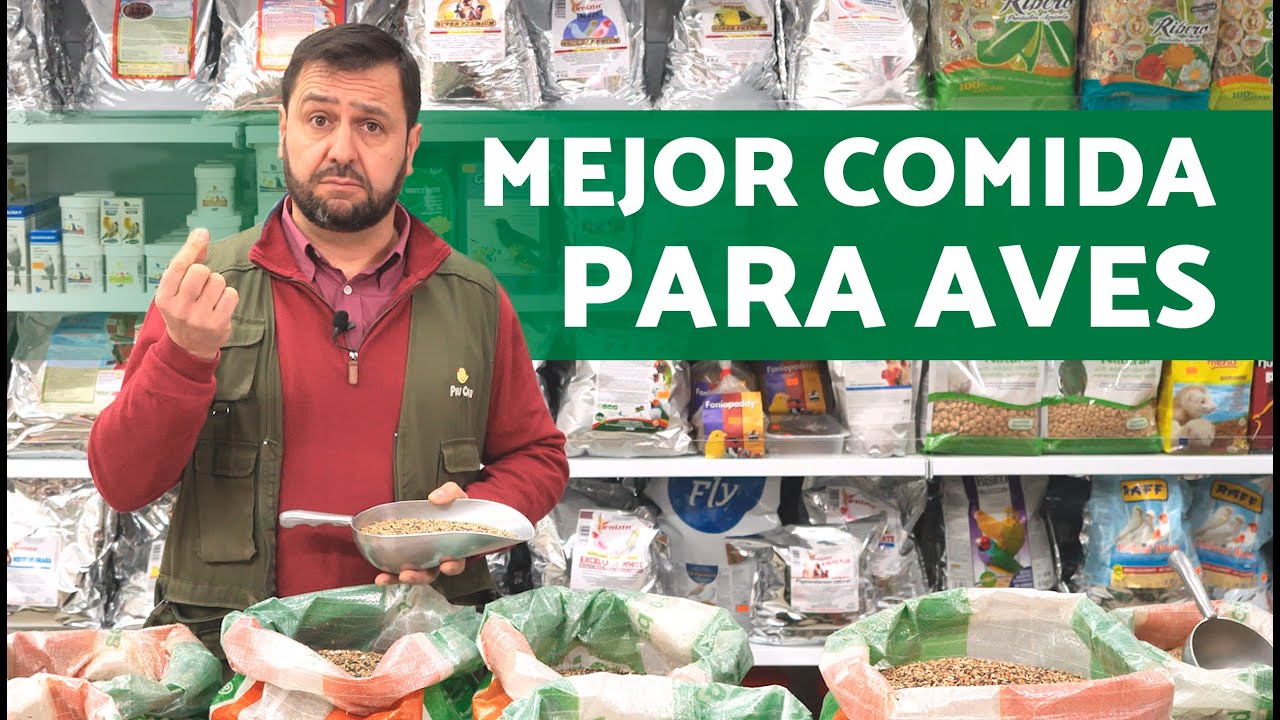 MIXTURAS para AVES y Alimentación en SILVESTRISMO ✅