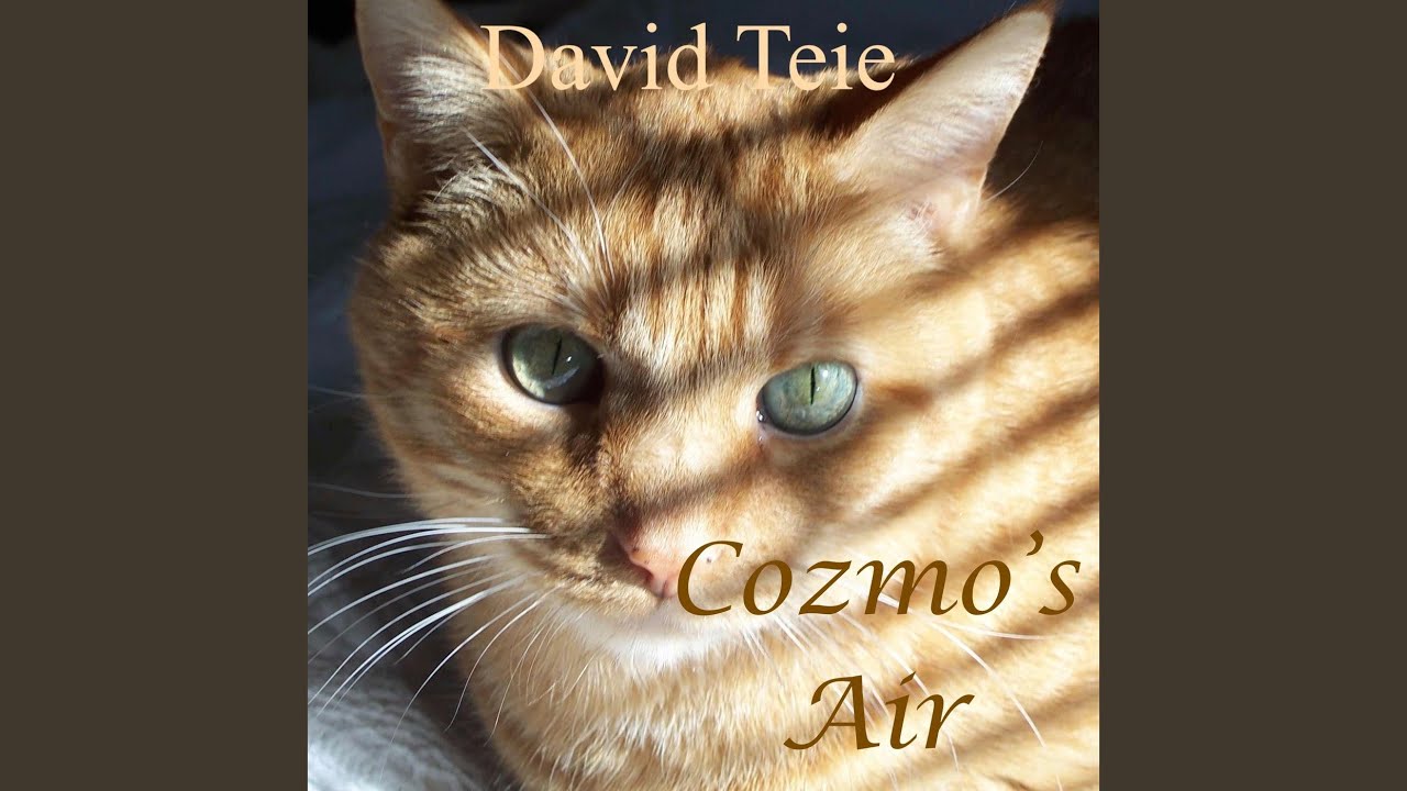 Cozmo's Air