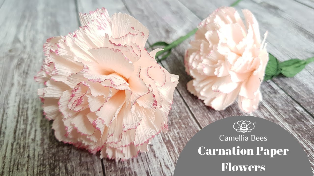 Carnation paper flower  DIY How to make Carnation from crepe paper Easy