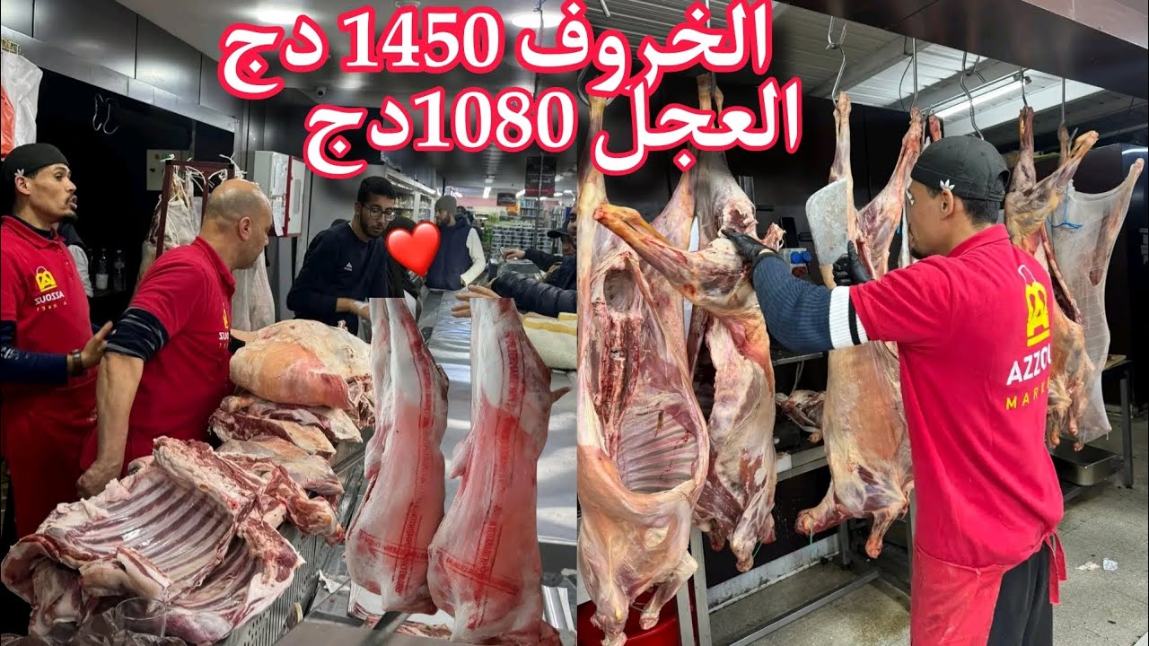 إنخفاض أسعار اللحوم المستوردة بمناسبة رمضان الخروف الاسباني والعجل البرازيلي كول يا المسكين 