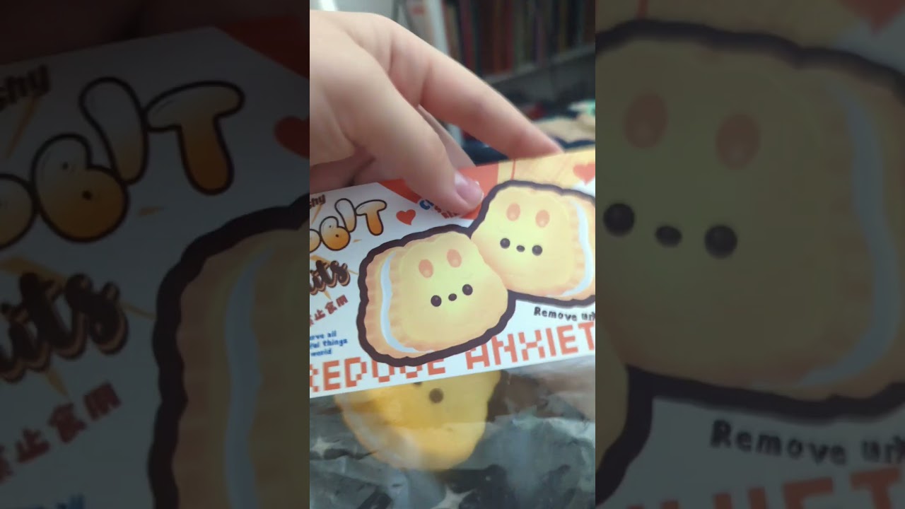 The slow rising squishies i got at a school festival #squish #ieatchildren #silly