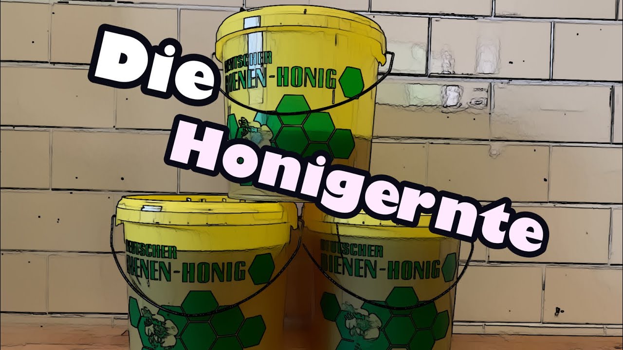 Die Honigernte ! Imkern ! Bienen !