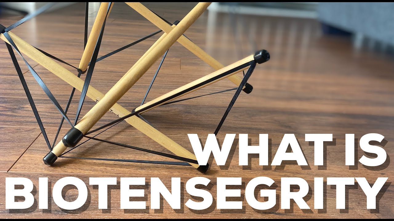 What is BIOTENSEGRITY?