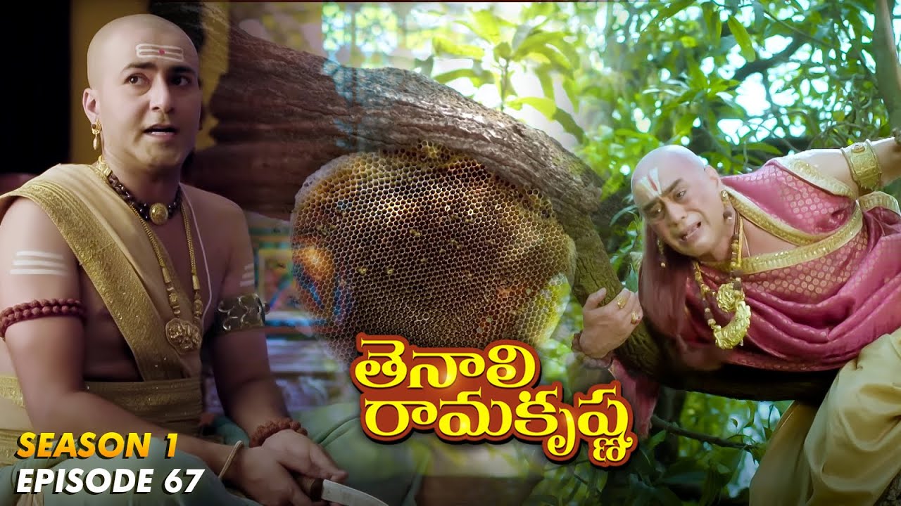 Tenali Ramakrishna Episode No 67 | తెనాలి రామకృష్ణ | Season 1 | Contiloe Studios Telugu |