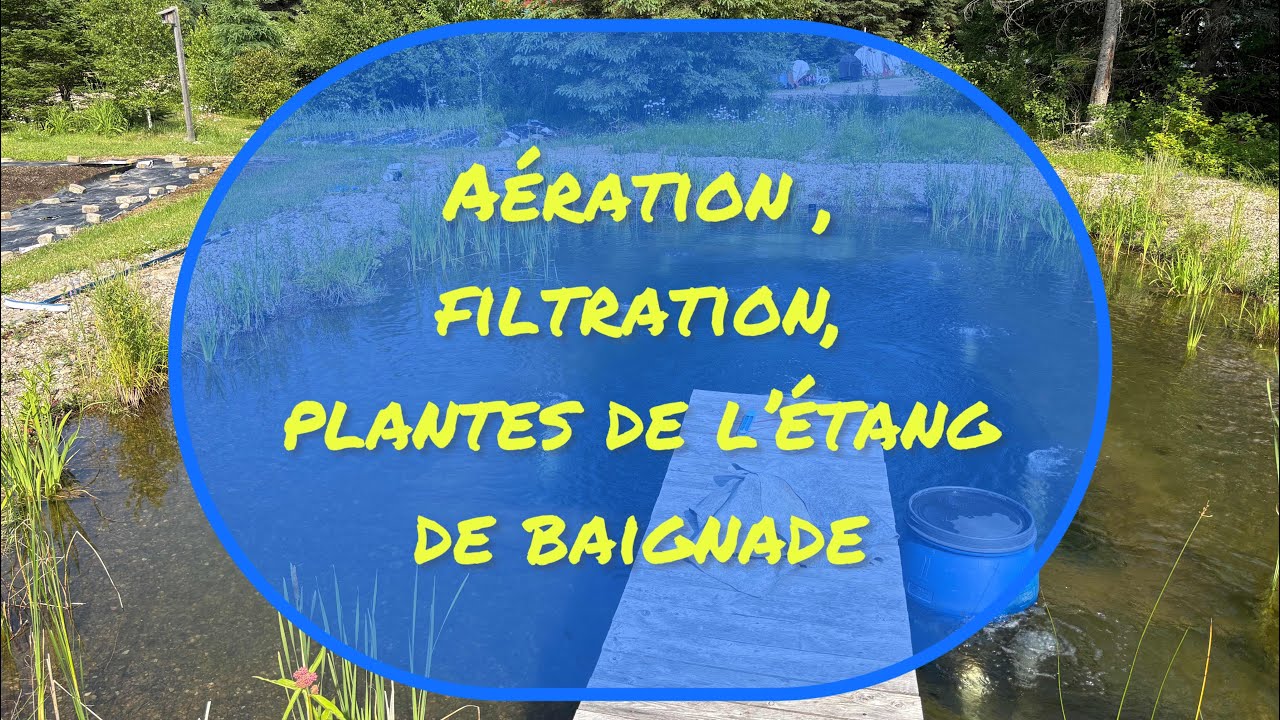 A&eacute;ration , filtration, plantes de l&rsquo;&eacute;tang de baignade