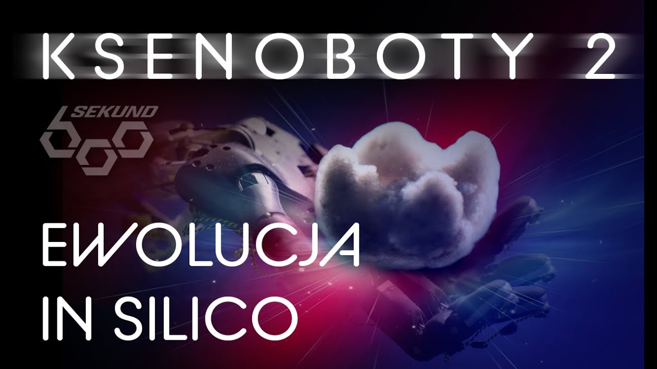 KSENOBOTY Cz.2 - EWOLUCJA W SYMULACJI / IN SILICO (600 Sekund)