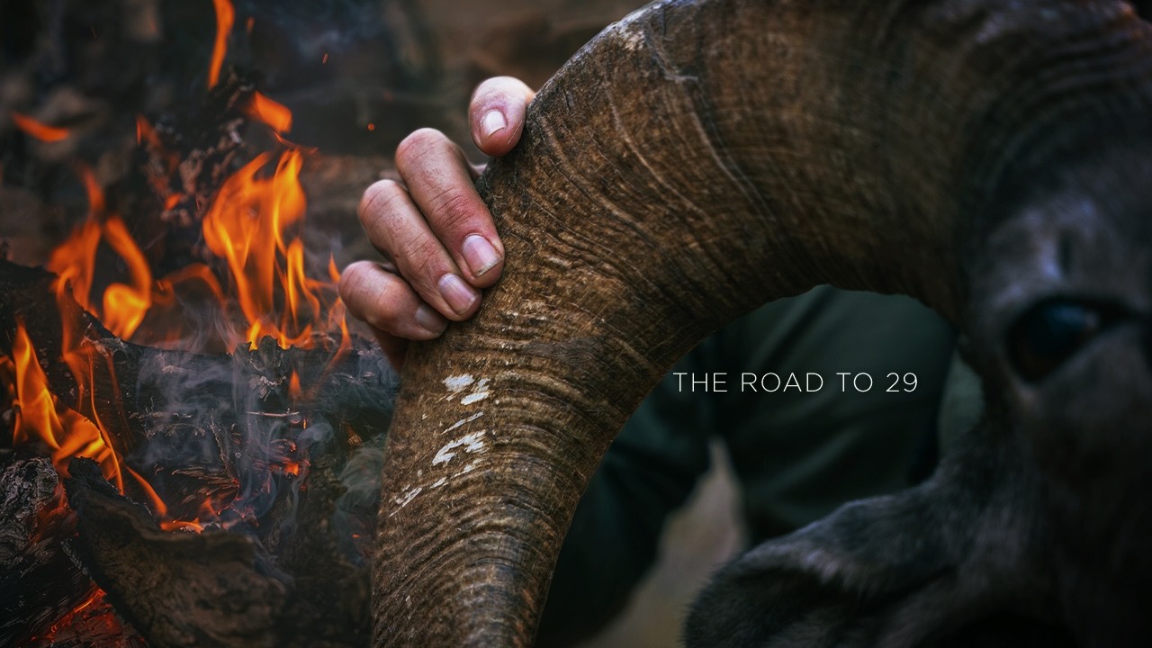 THE FINAL CHAPTER | A Desert Bighorn Film