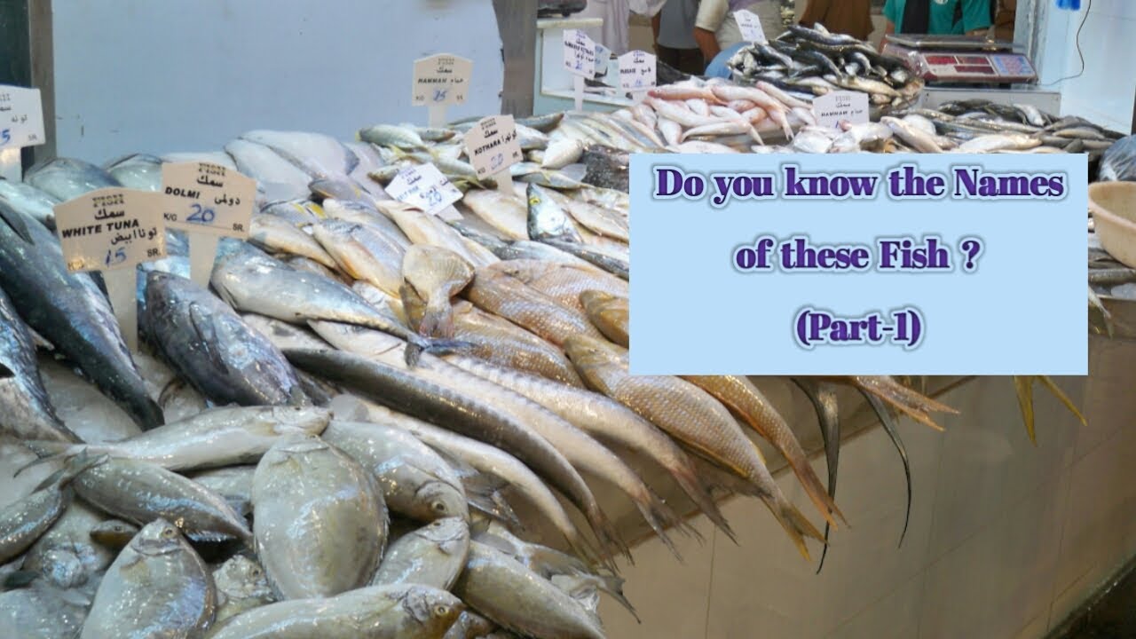 Fish Facts: All about Fishes | Fish Names in English (Part-1) | Edible Fishes