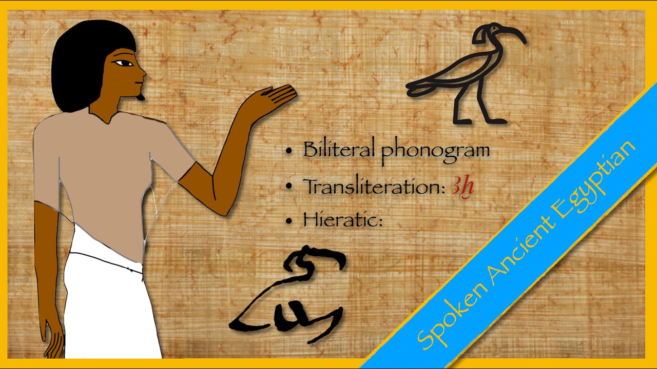 Hieroglyphs 𓊹𓌃 2. Biliteral signs (part 1) 𓉗𓏏𓉐𓍼𓏤𓎔𓏛𓏮𓏏