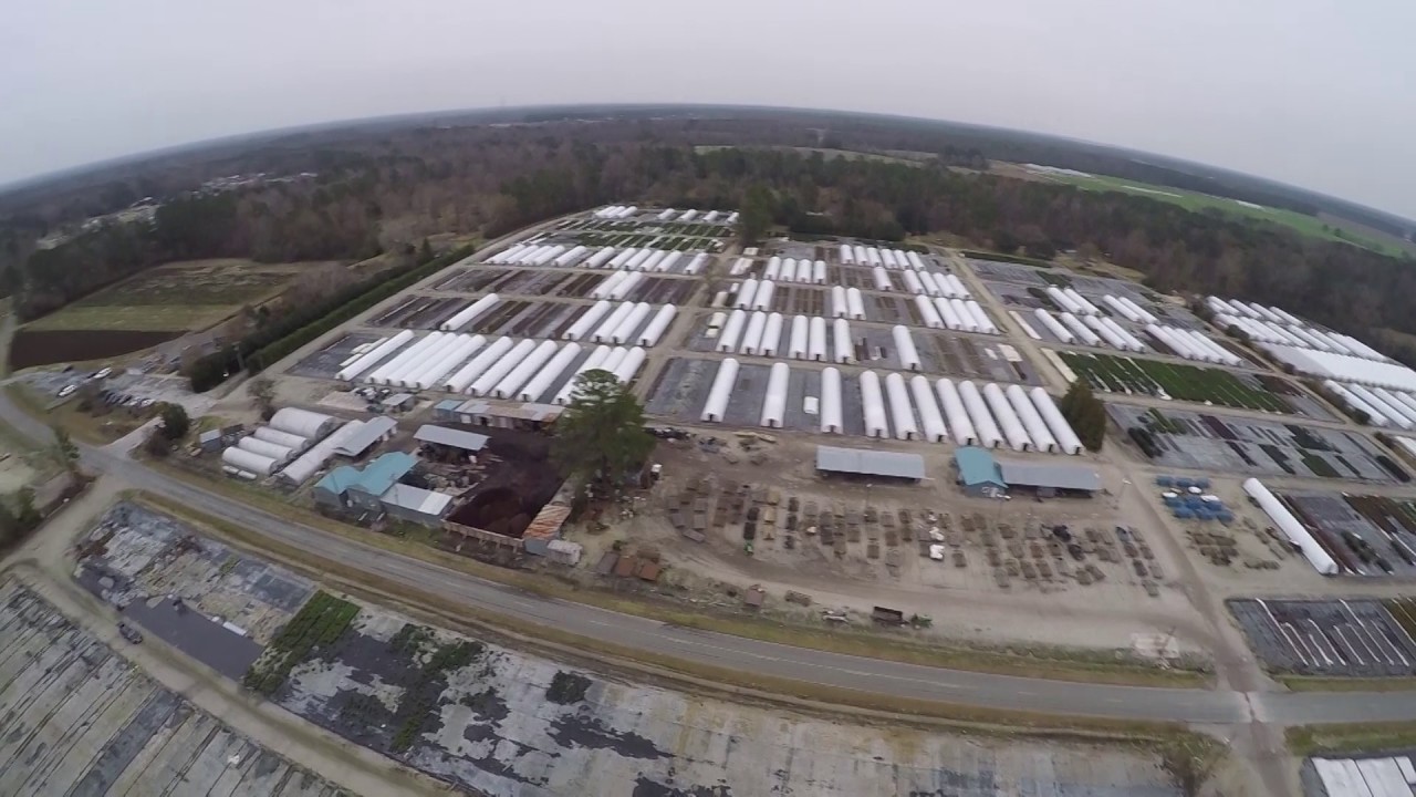 Johnson Nursery December 2016 (longer version)