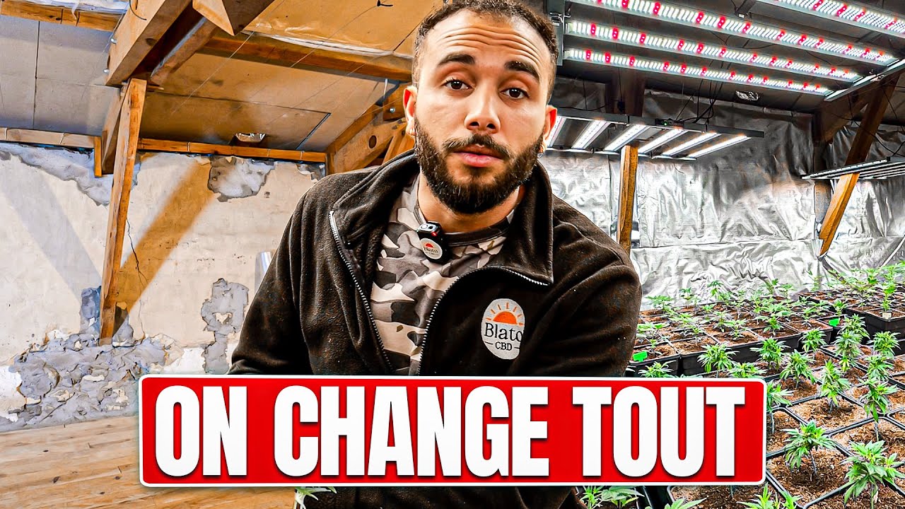 ON TRANSFORME UN VIEUX GRENIER EN SALLE DE CULTURE INDOOR DE CBD !