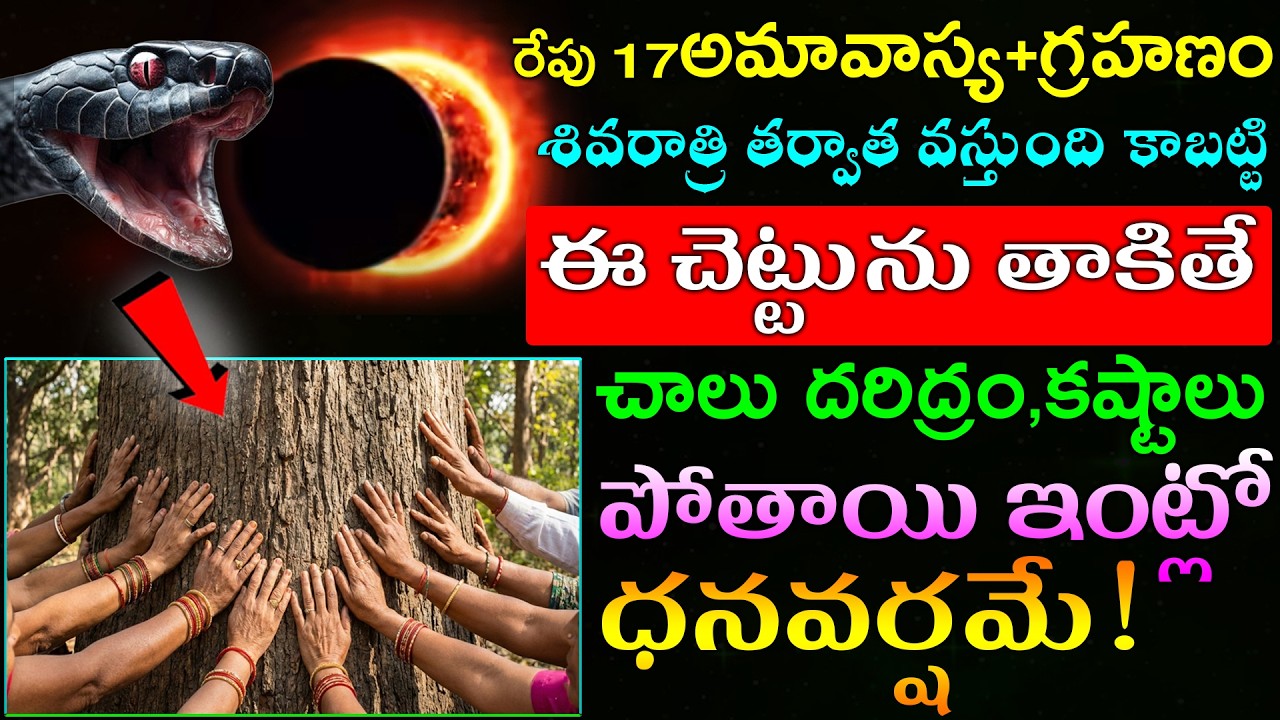 రేపు 17అమావాస్య+గ్రహణం కాబట్టి ఈ చెట్టును తాకితే చాలు దరిద్రం,కష్టాలు పోతాయి ఇంట్లో ధనవర్షమే!