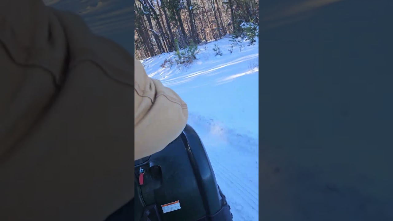 Carolina winter 2026