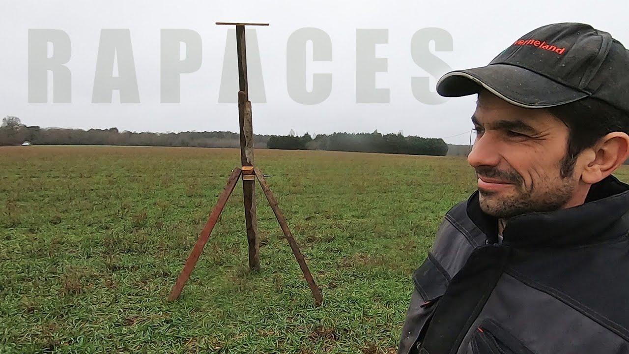 Un perchoir maison pour attirer les rapaces - 2020
