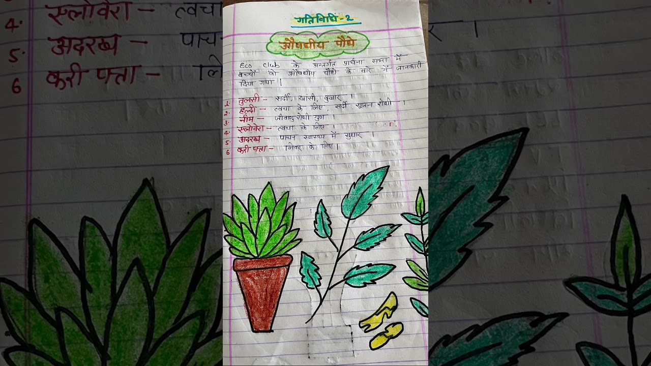 Eco club, October month karya yojna#ecoclub #basicsikshaparishad #primarypathshala