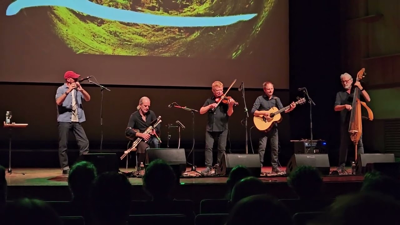 L&uacute;nasa - Live at the Irish Festival of Oulu - Medley 