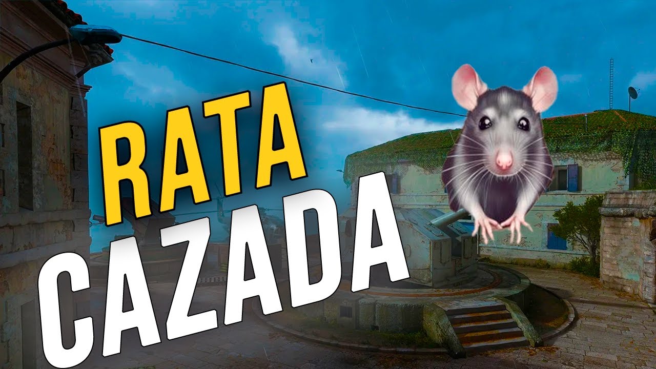 RATA CAZADA | ME DAN BAN EN DIRECTO DE RANKEDS BO6