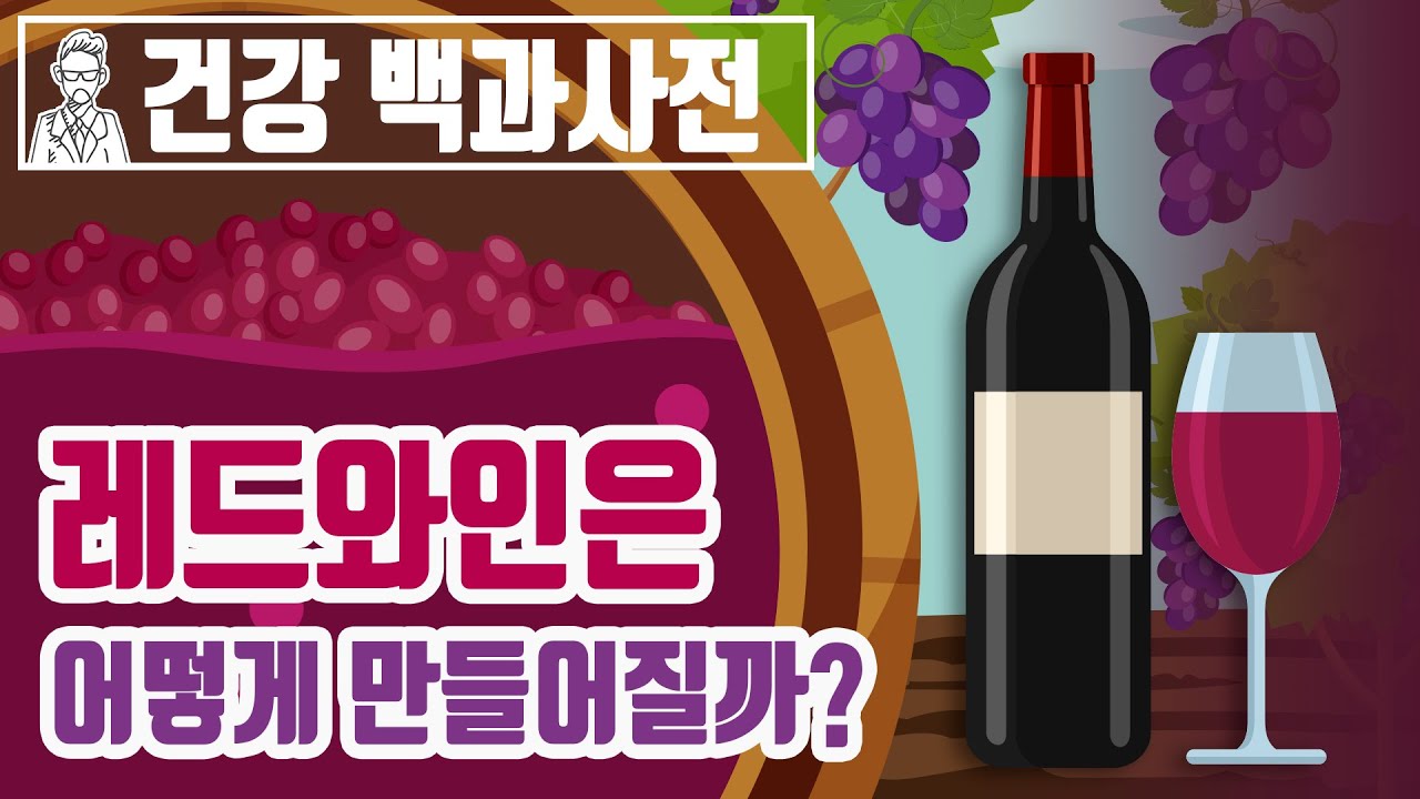 와인시리즈 EP3. 레드와인은 어떻게 만들어질까? 왜 색깔과 맛이 다 다를까? 레드와인의 품종별 특징 ( 카베르네 소비뇽, 메를로)
