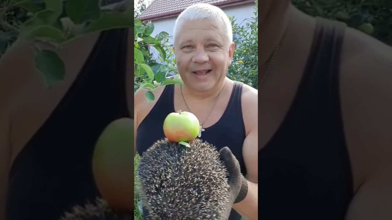 всем доброго и прекрасного утра с хорошим настроением🍏🍎🦔☀️✌️