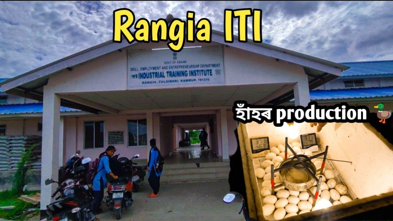 Rangia ITI চাওঁ আহক 👀// হাঁহৰ production কেনেকৈ কৰে চাৱক