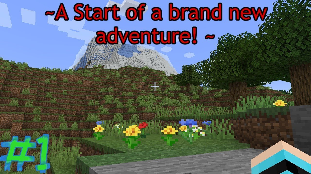 Braeden's Awesome Survival World: A Start of a brand new adventure! ~1~