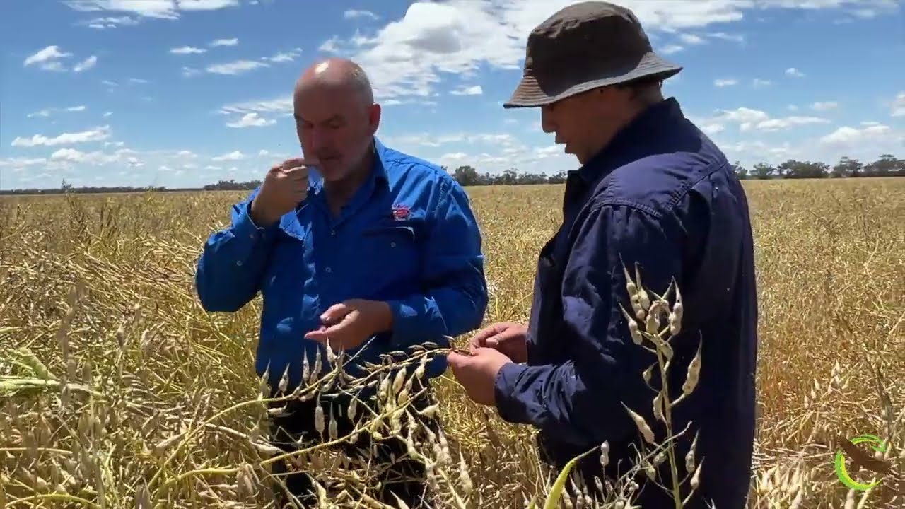 No Kill- Multi Species- Cash Crop Presentation by Martin Williams- Regenerative Farming Revolution