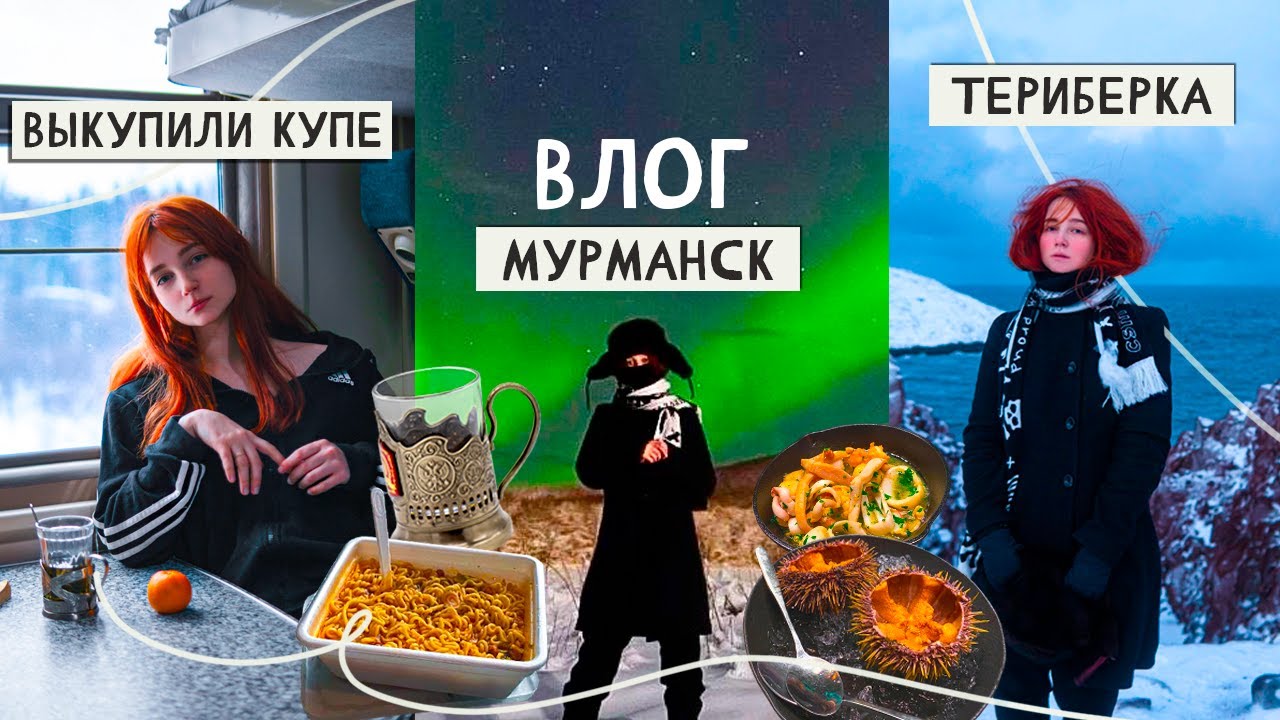 выкупила КУПЕ в поезде, северное СИЯНИЕ, Териберка и Мурманск | влог