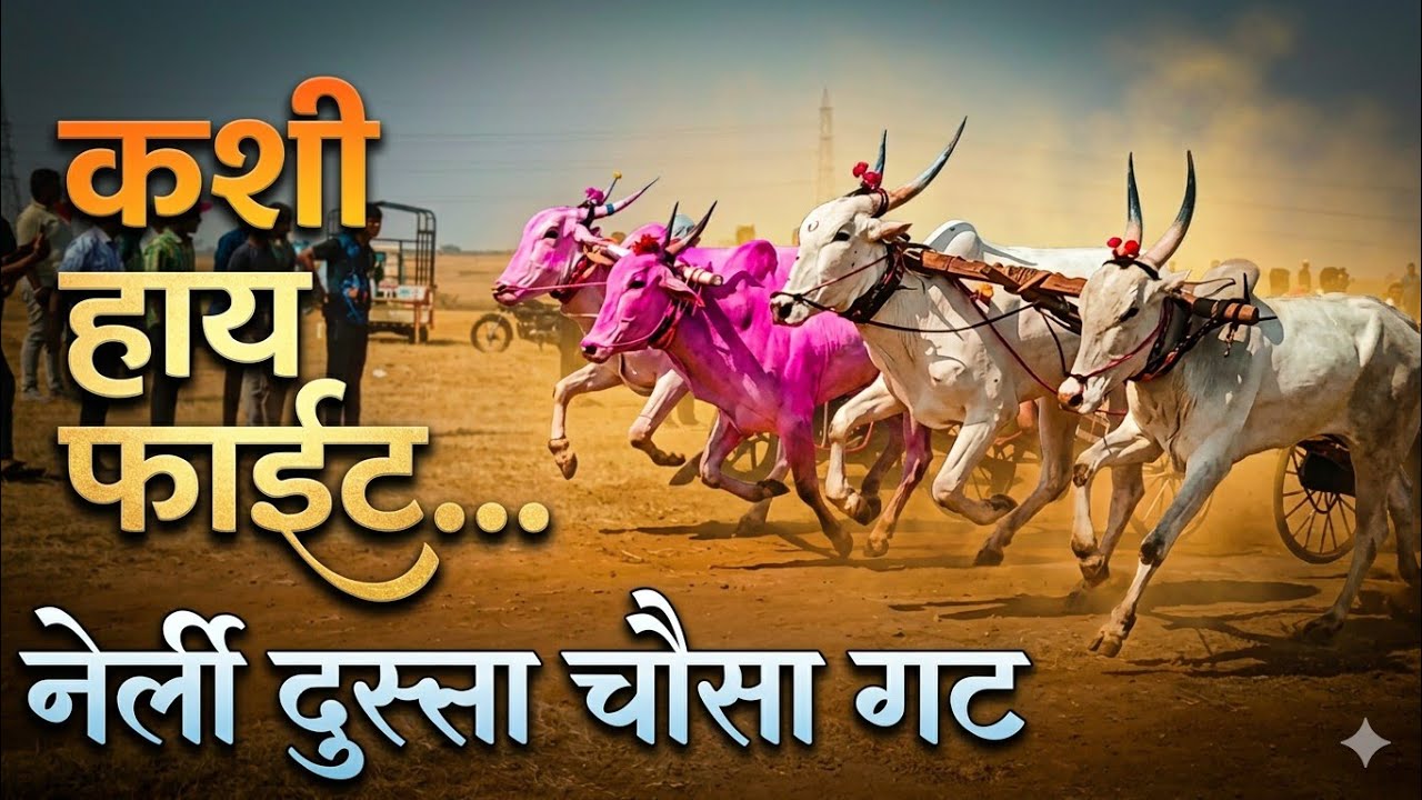 💥 नेर्ली दुस्सा चौसा गट  Nerli Dussa Chausa maidan #sharyat #bailgadisharyat #bailgadasharyat #bull 