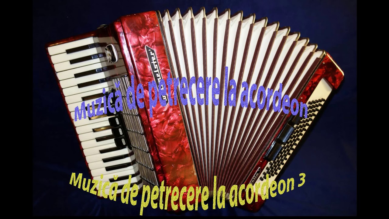 Muzica de petrecere la acordeon 3 (muz4muz Cover)