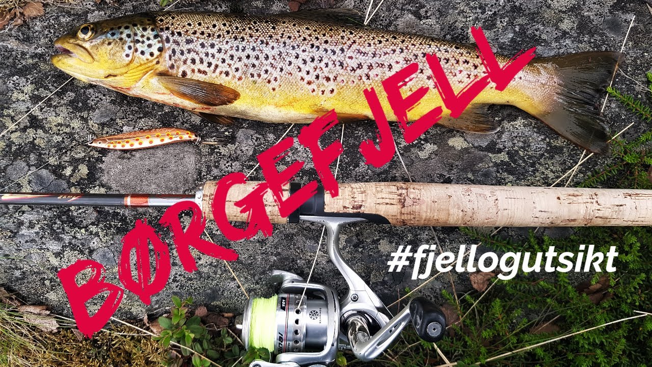 Børgefjell 2020