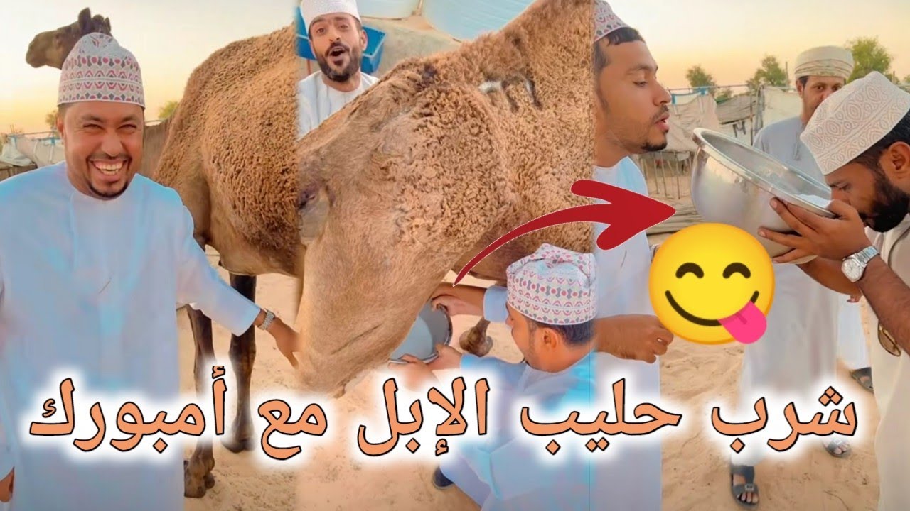 رحلة مسائية وشرب حليب النوق مع امب عمل | محمد المخيني