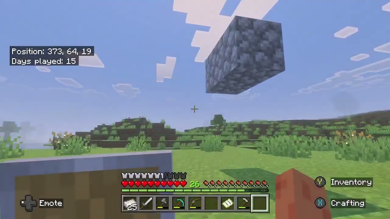 Minecraft survival