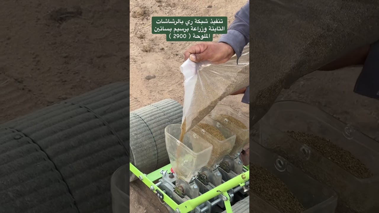 تنفيذ شبكة ري بالرشاشات الثابتة وزراعة برسيم بساتين