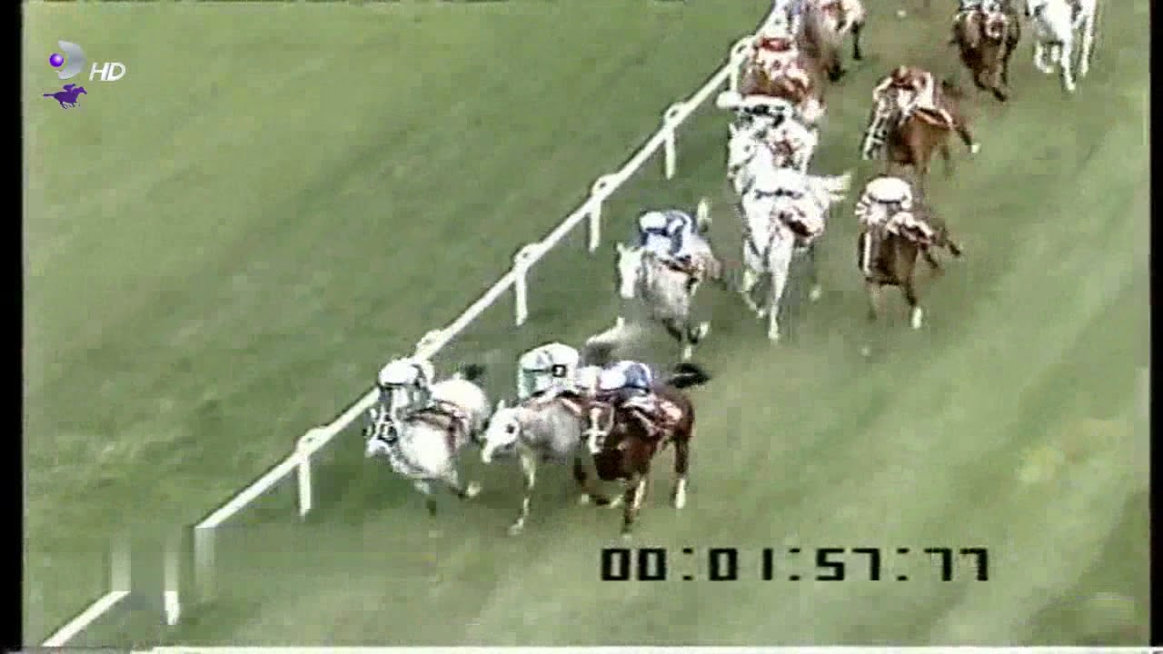 TARIM VE ORMAN BAKANLIĞI KOŞUSU 1994