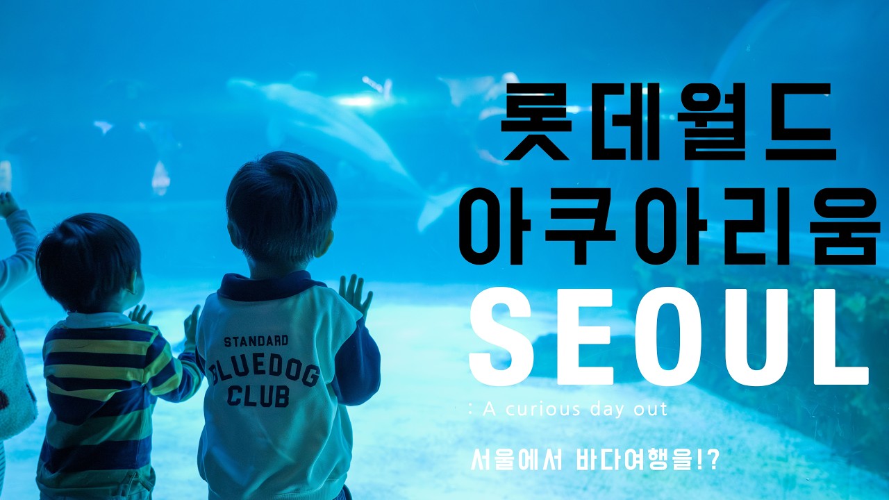 롯데월드 아쿠아리움 ㅣ 아들 둘이랑 함께한 서울 도심속 대형 수족관체험