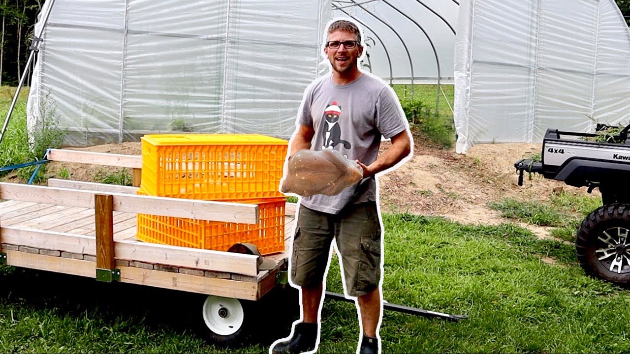 This Is Why We raise Our own CHICKEN Harvested 225 Pounds of Poultry in ONE DAY