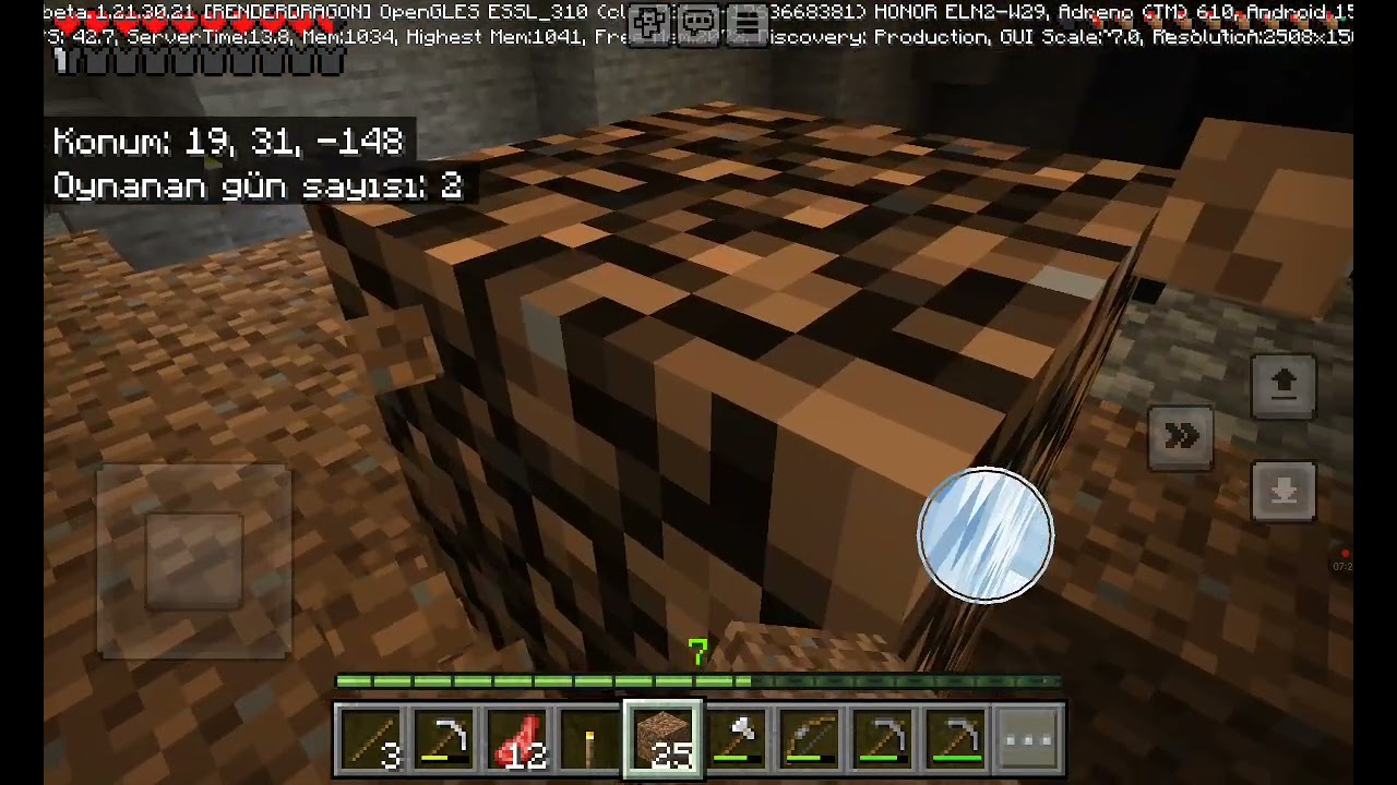 KARDEŞİMLE MİNECRAFT OYNADIK SMP (BÖLÜM2)