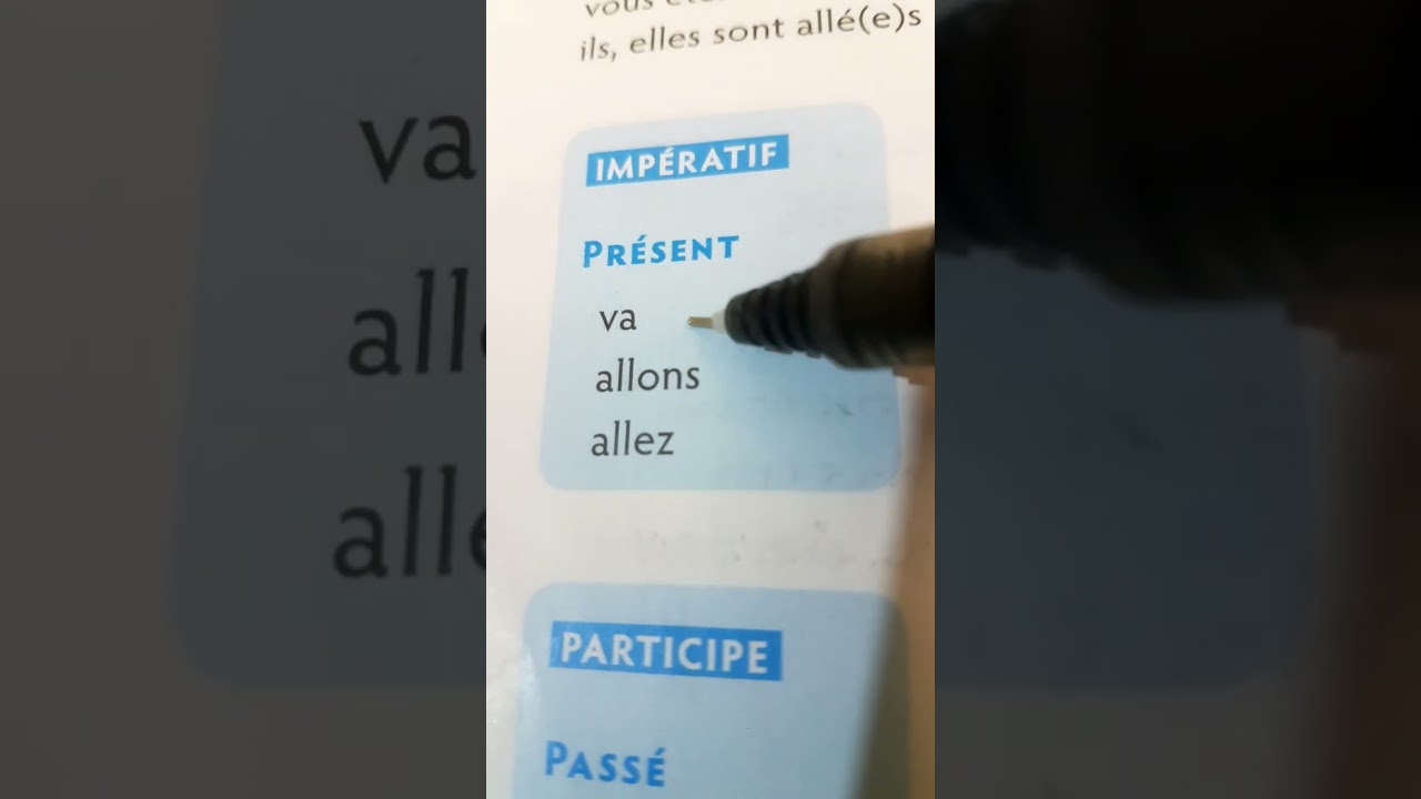 Aller &agrave; l'imp&eacute;ratif pr&eacute;sent pr&eacute;#education#conjugaison#excel#francophone #maroc#french#francophone