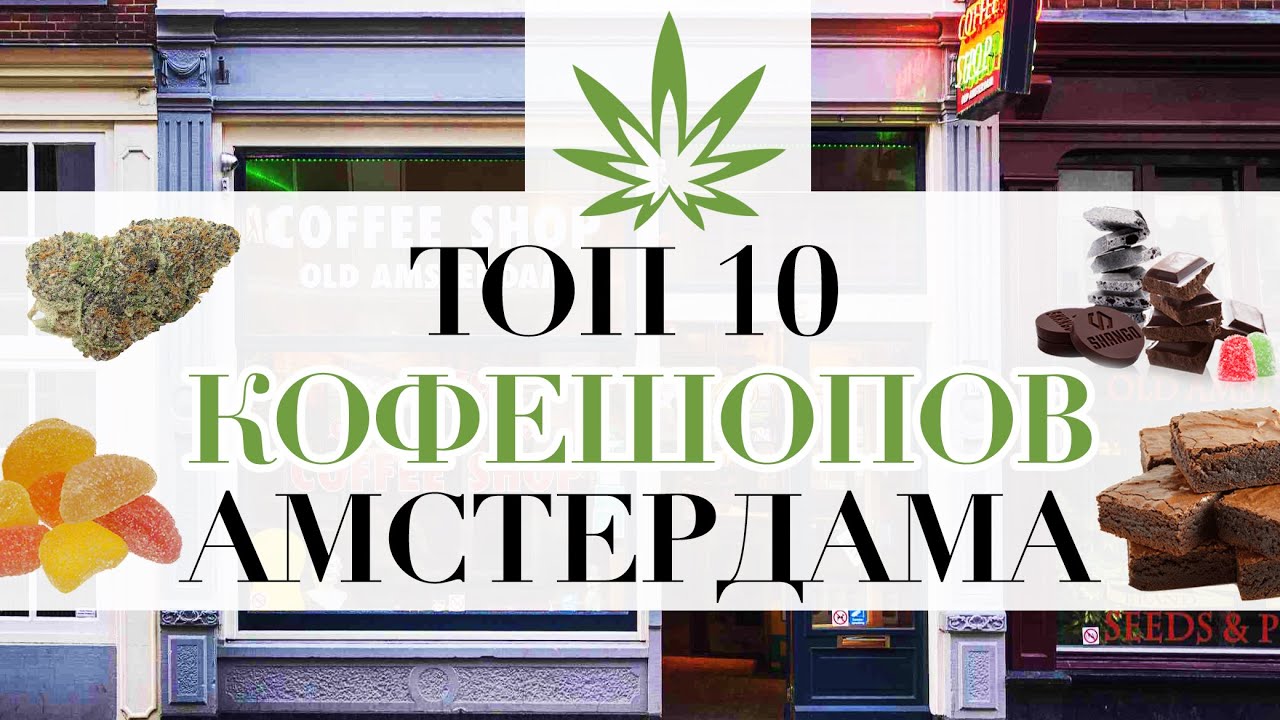 Топ 10 Кофешопов Амстердама |Weed Empire|