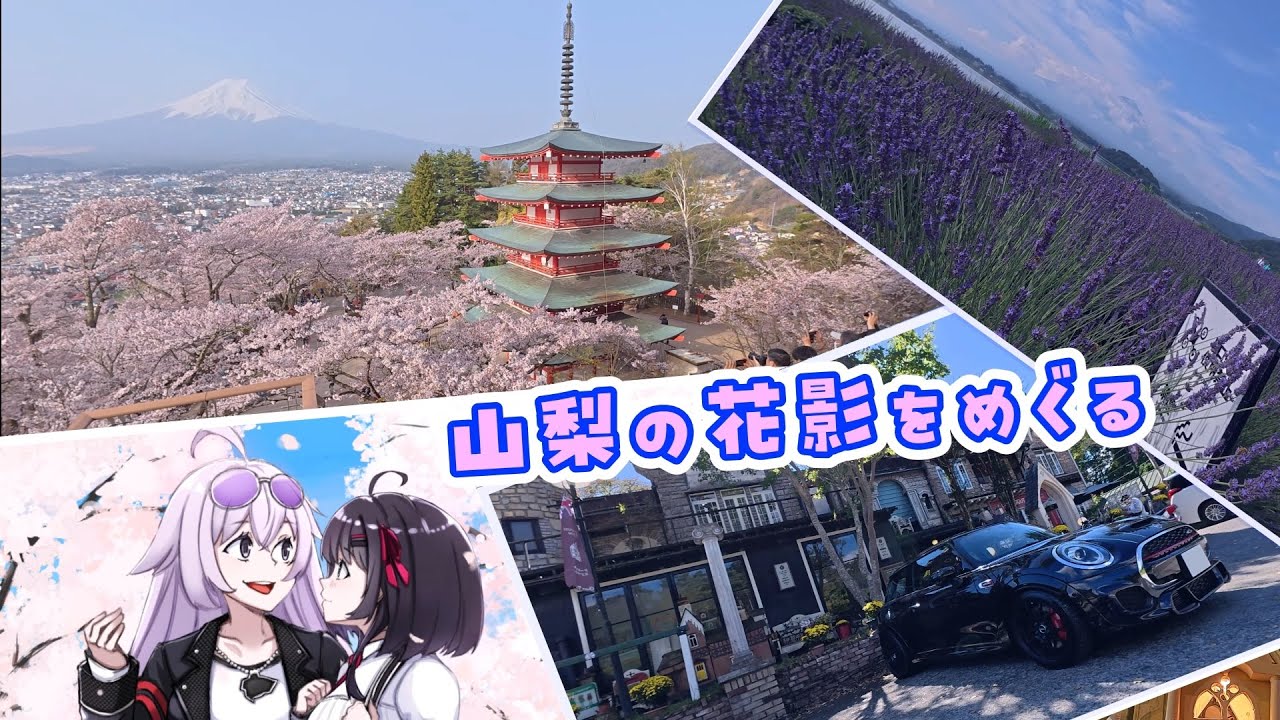 【exVOICE車載】ミニとドライブしようpart35【山梨の花影をめぐる】