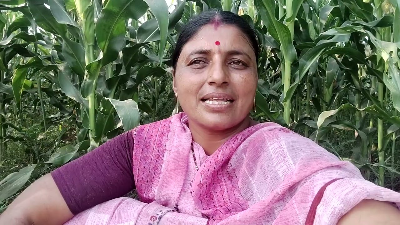 मिस्टरांची जर साथ असेल तर आणखीन गाई वाढवण्याचा विचार