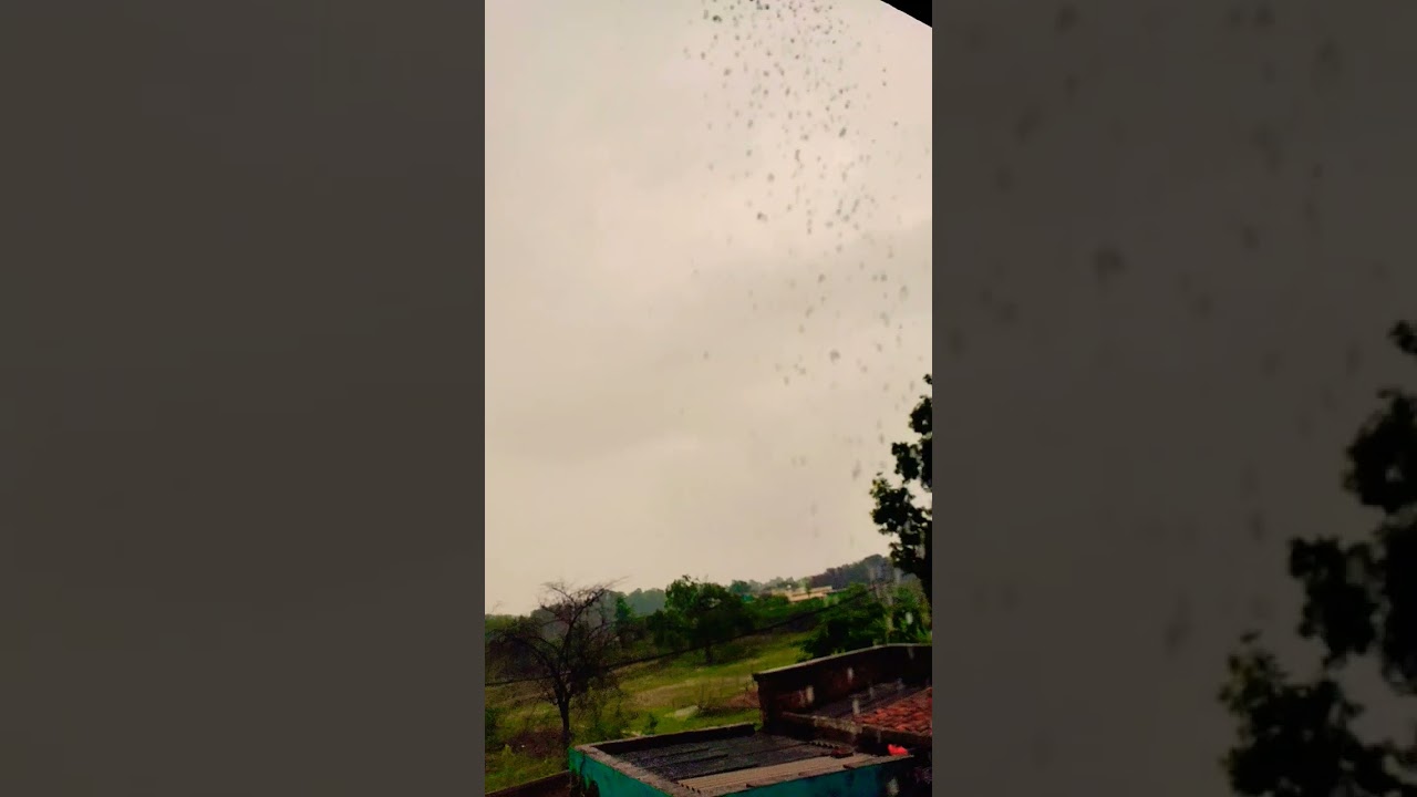 heavy rain village view 🥰western odisha 🥰#nature #viral #goodmorning 🥰#zarazara #sadshorts