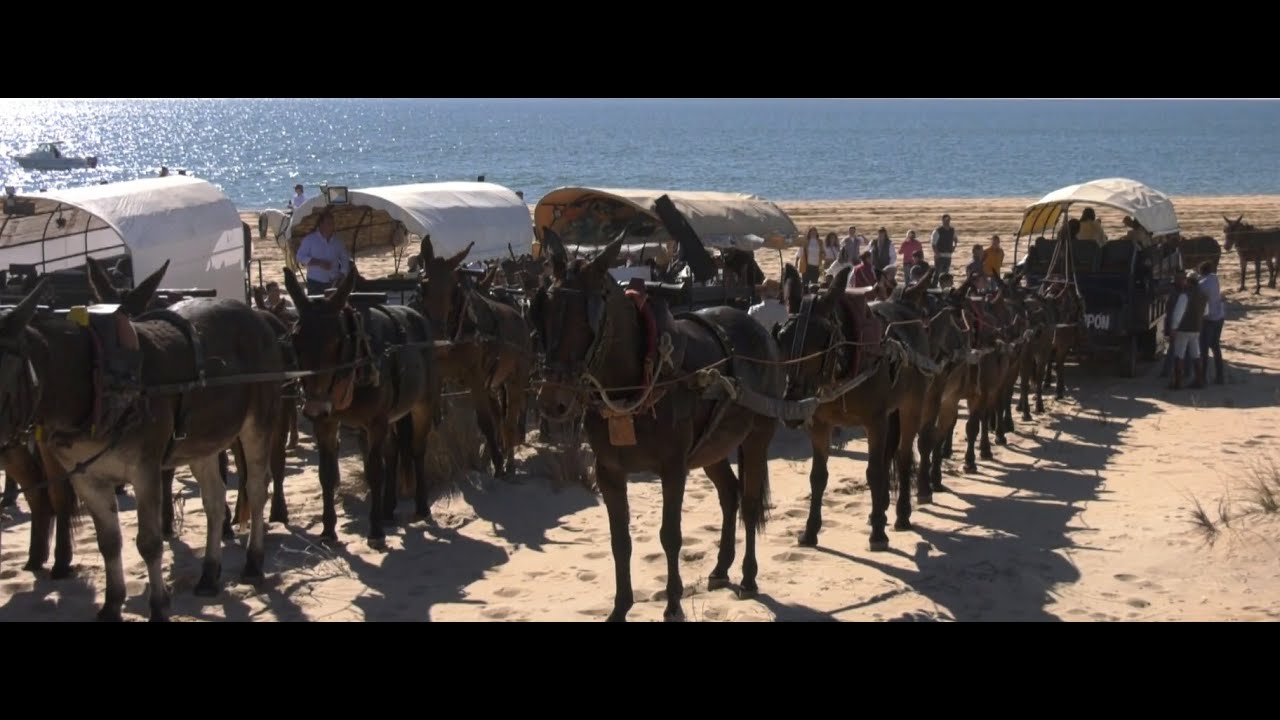Mulos por las Playas de Lepe, El terrón La Antilla Nueva Umbría Por los Terrenos del Caballo