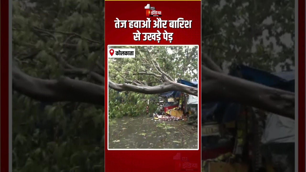 West Bengal Weather Update: तेज़ हवाओं और बारिश से उखड़े पेड़ | Storm In Kolkata | Heavy Rain | Winds