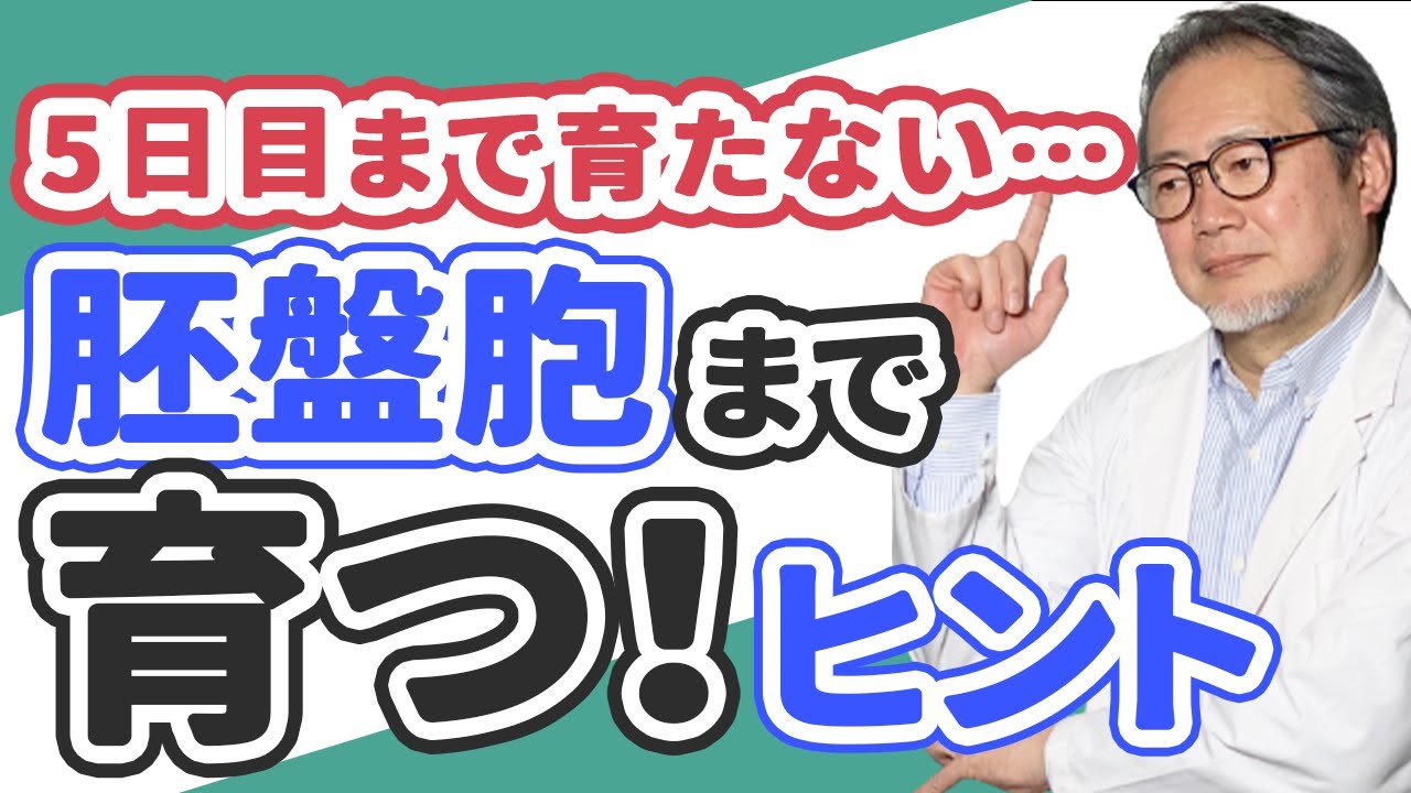 【妊活】採卵・受精したのに…！胚盤胞まで育たない…原因は？【体外受精・顕微授精】