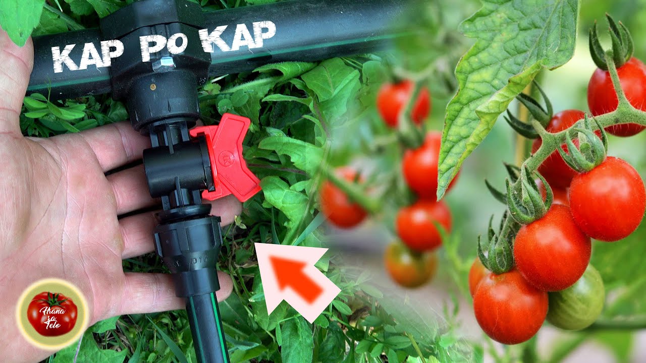 Капельный полив на наклонных участках