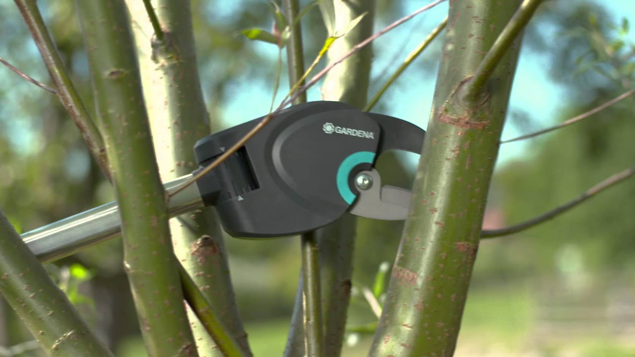 Einfache Baum- und Strauchpflege mit GARDENA